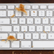 Illustration for article titled Apple is withholding life-altering, crumb-free keyboards from us